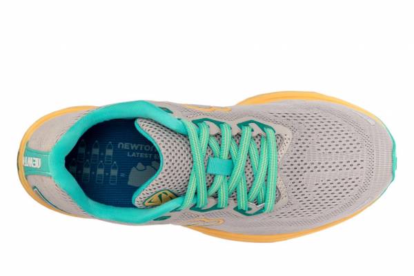 NEWTON Gravity 14 (Herren)