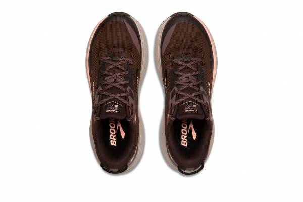 BROOKS Divide 6 GTX (Damen)
