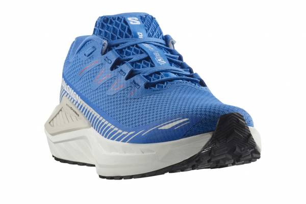 SALOMON DRX Defy GRVL (Herren)