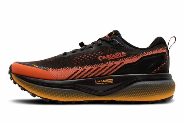 BROOKS Cascadia 20 (Herren)
