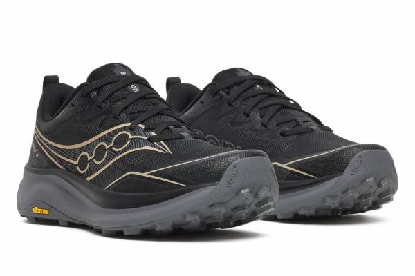 SAUCONY Peregrine 16 (Damen)