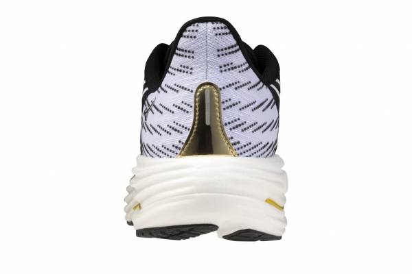 MIZUNO Wave Rider 29 (Herren)