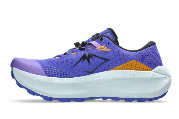 ASICS Trabuco Max 5 (Herren)