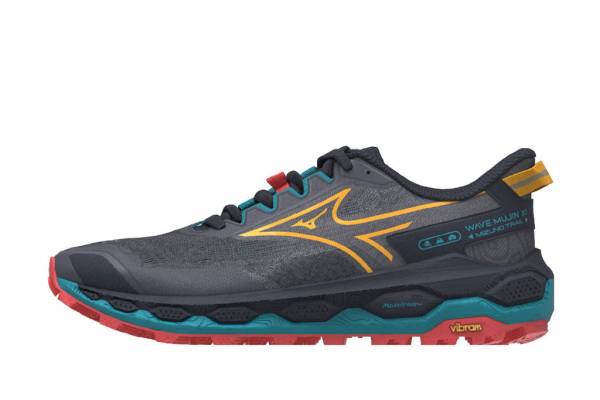 MIZUNO Wave Mujin 11 (Herren)