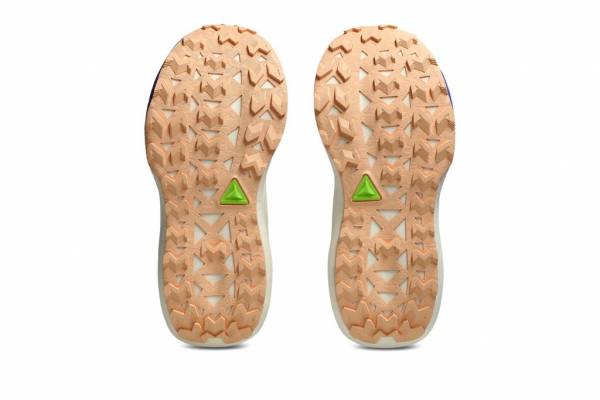 ASICS Trabuco Max 5 (Damen)